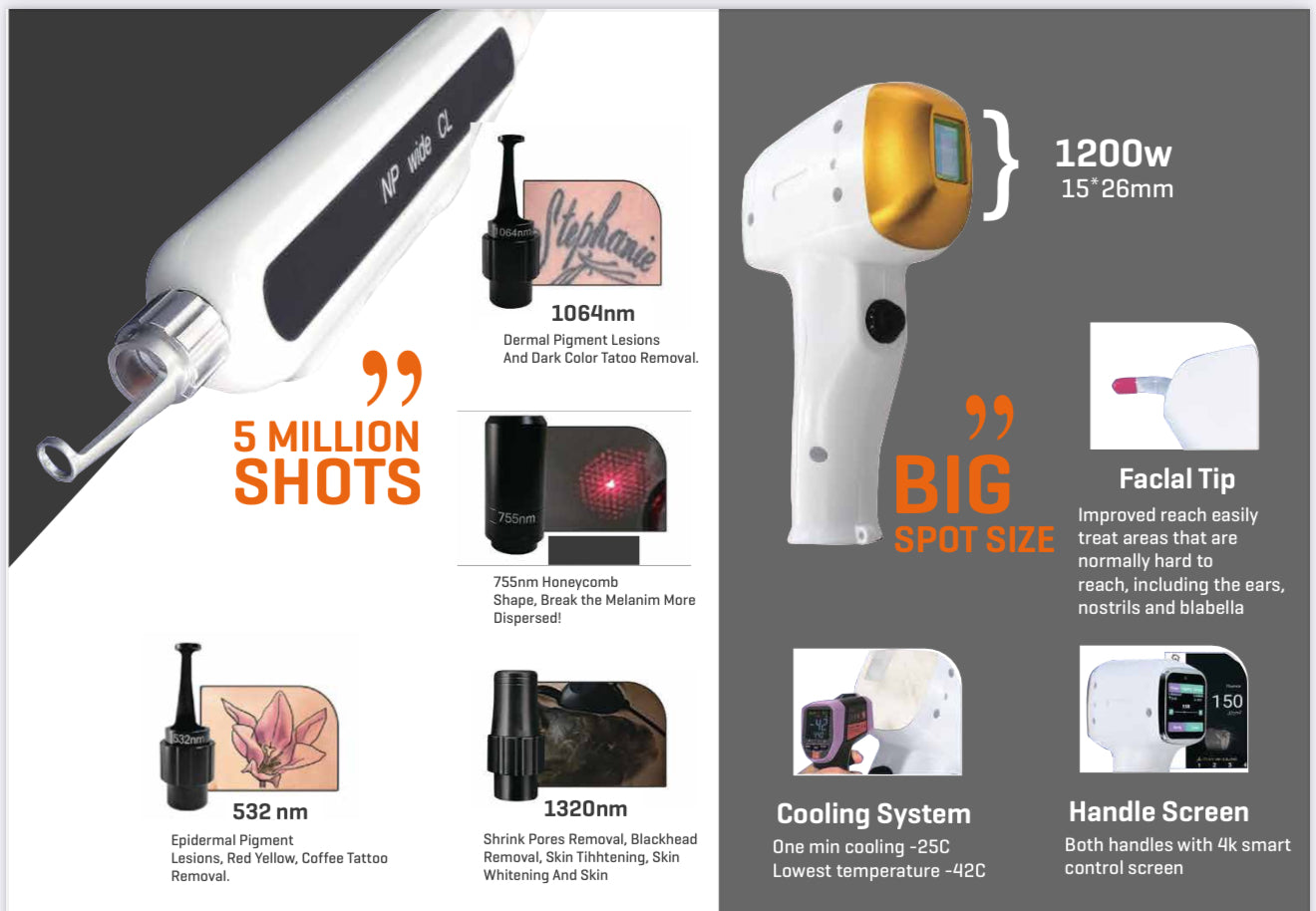 2 IN 1 DIODE LASER + PICOSECOND LASER PORTABLE